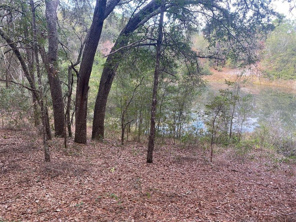 Recently Sold: $229,900 (19.97 acres)