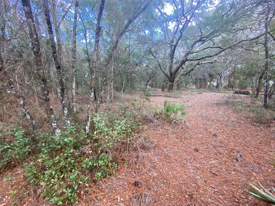 Recently Sold: $229,900 (19.97 acres)