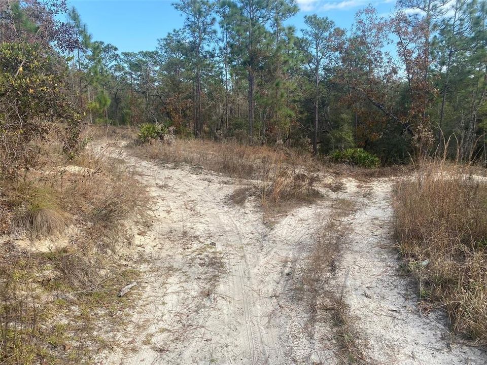 Recently Sold: $229,900 (19.97 acres)