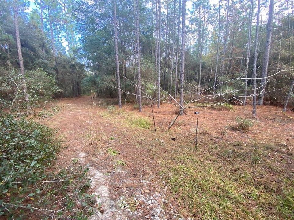 Recently Sold: $229,900 (19.97 acres)