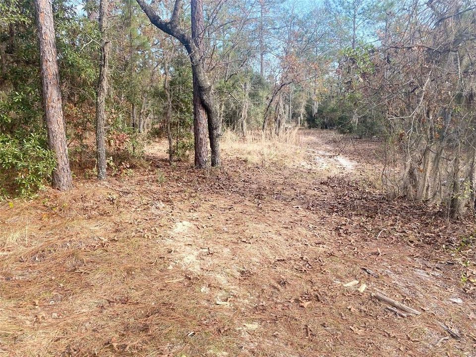 Recently Sold: $229,900 (19.97 acres)