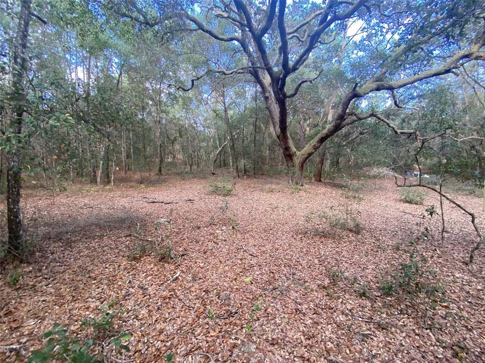 Recently Sold: $229,900 (19.97 acres)