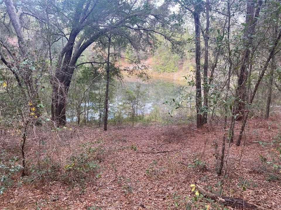 Recently Sold: $229,900 (19.97 acres)