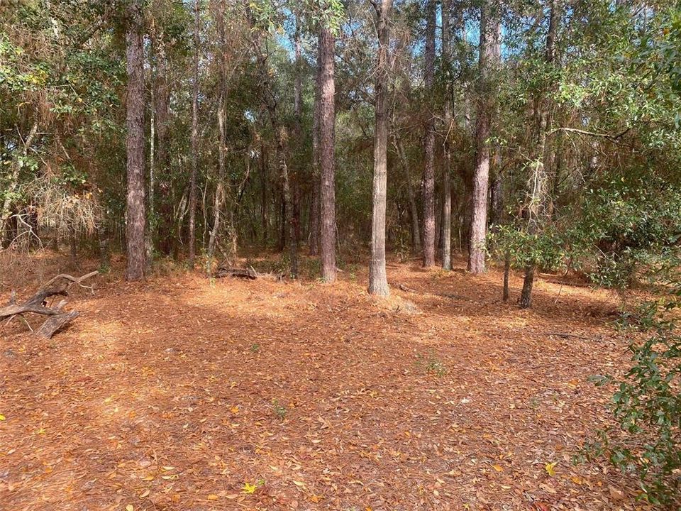 Recently Sold: $229,900 (19.97 acres)