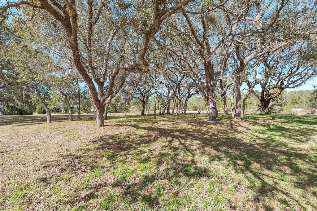 Vendido Recientemente: $75,000 (0.71 acres)