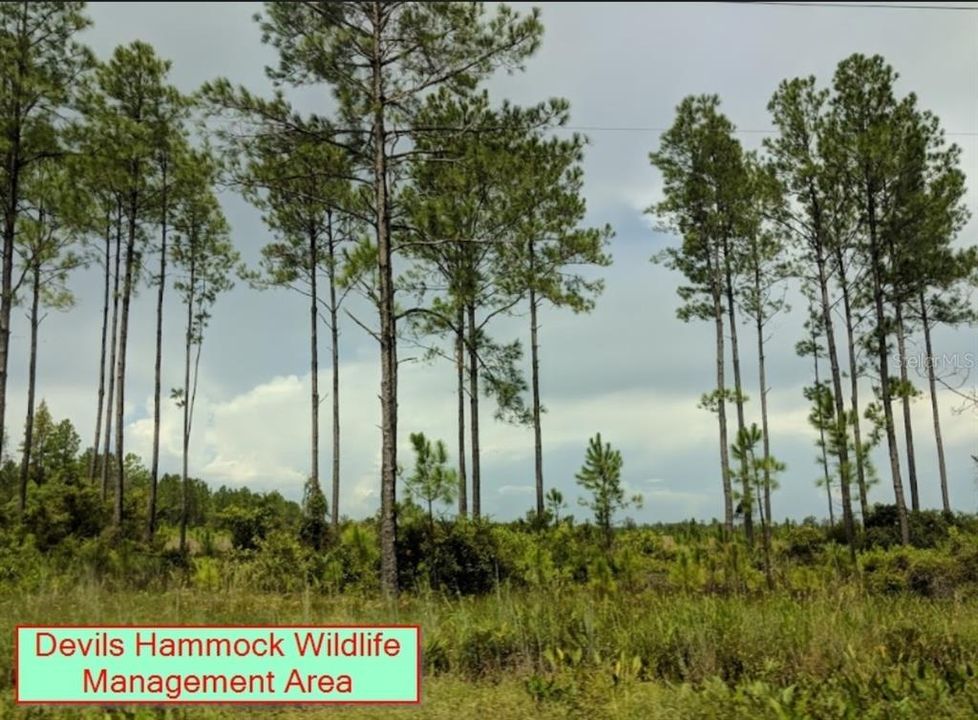 Recently Sold: $54,000 (4.24 acres)