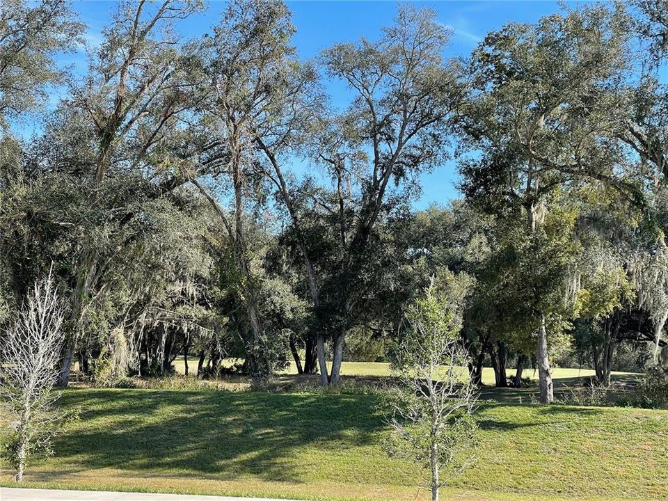 Front yard golf course view