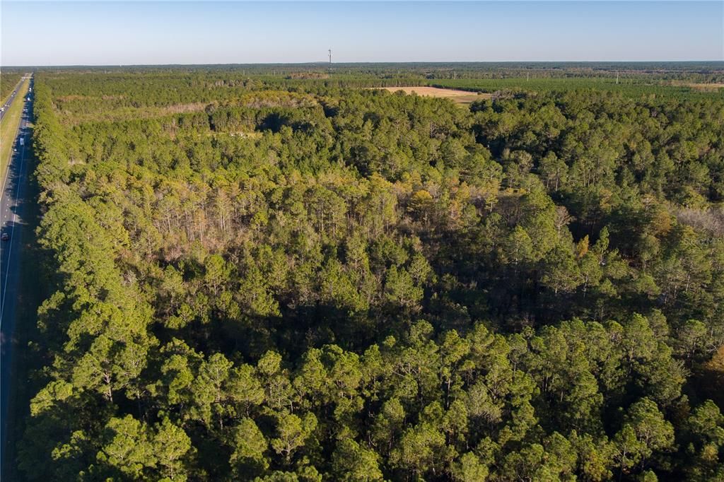 For Sale: $200,000 (20.17 acres)