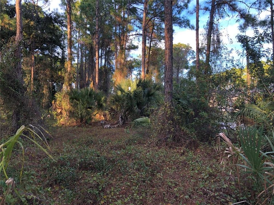 Recently Sold: $44,000 (0.47 acres)