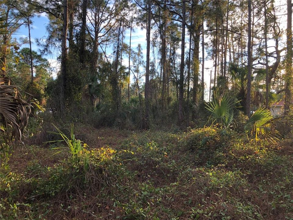 Recently Sold: $44,000 (0.47 acres)