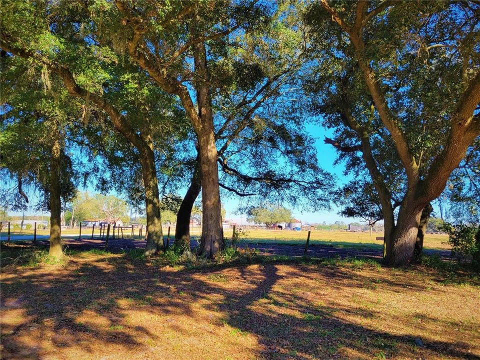 Recently Sold: $2,200,000 (153.50 acres)