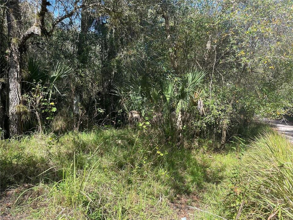 Recently Sold: $23,000 (1.40 acres)