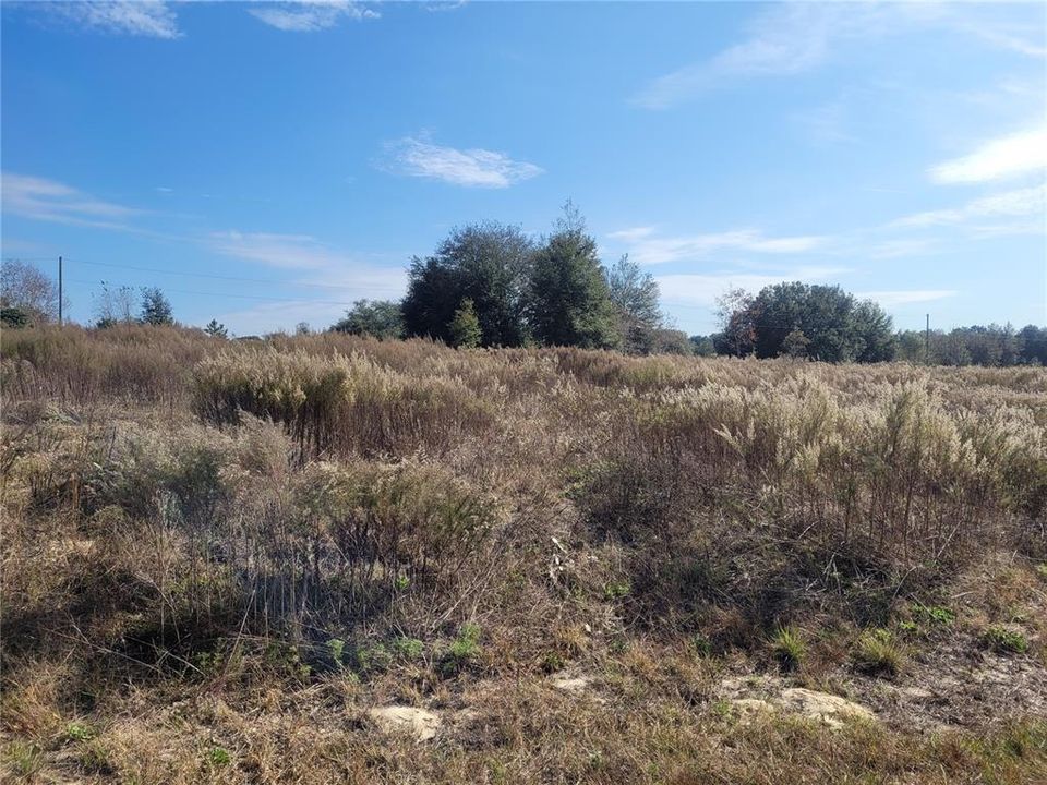 Recently Sold: $29,000 (0.41 acres)