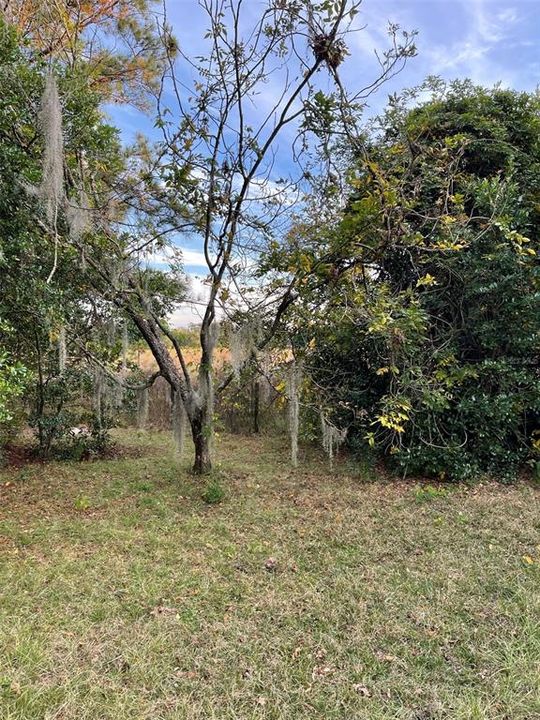 Vendido Recientemente: $39,900 (10.00 acres)