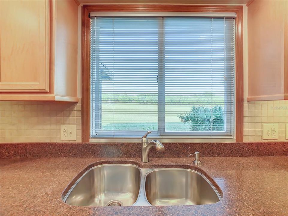 New quartz counter tops with stainless steel sink.  You can enjoy your back yard view while doing dishes.
