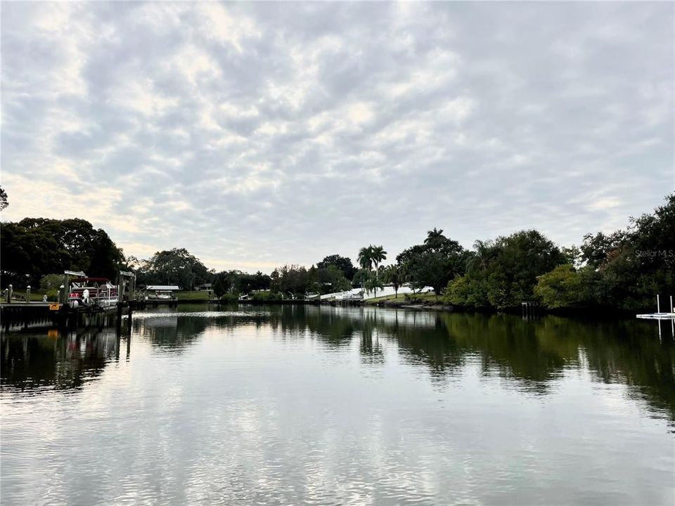 Beautiful View of Allen's Creek which leads to Tampa Bay waters