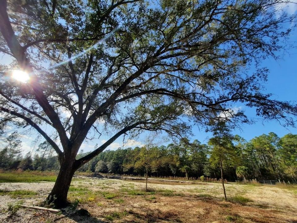 Recently Sold: $155,000 (12.54 acres)