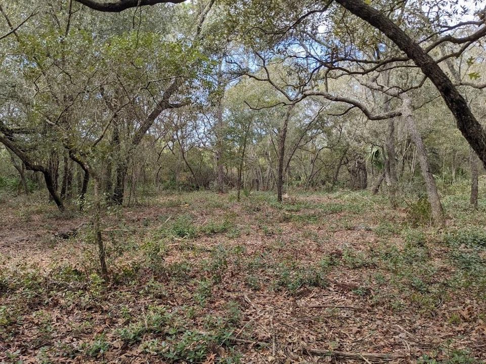 Recently Sold: $42,000 (7.02 acres)