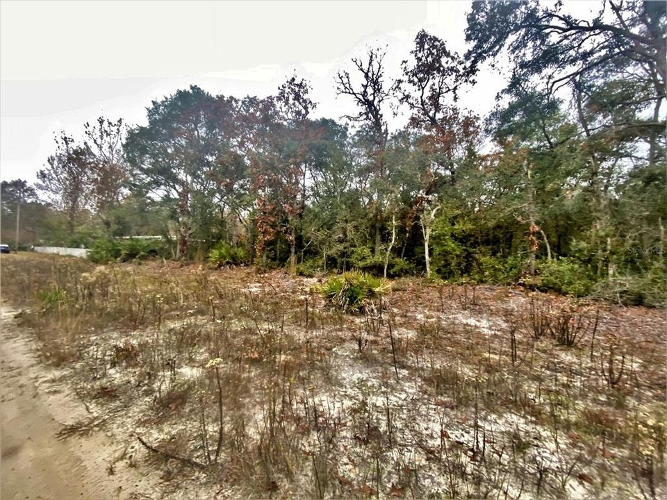 Recently Sold: $4,750 (0.24 acres)