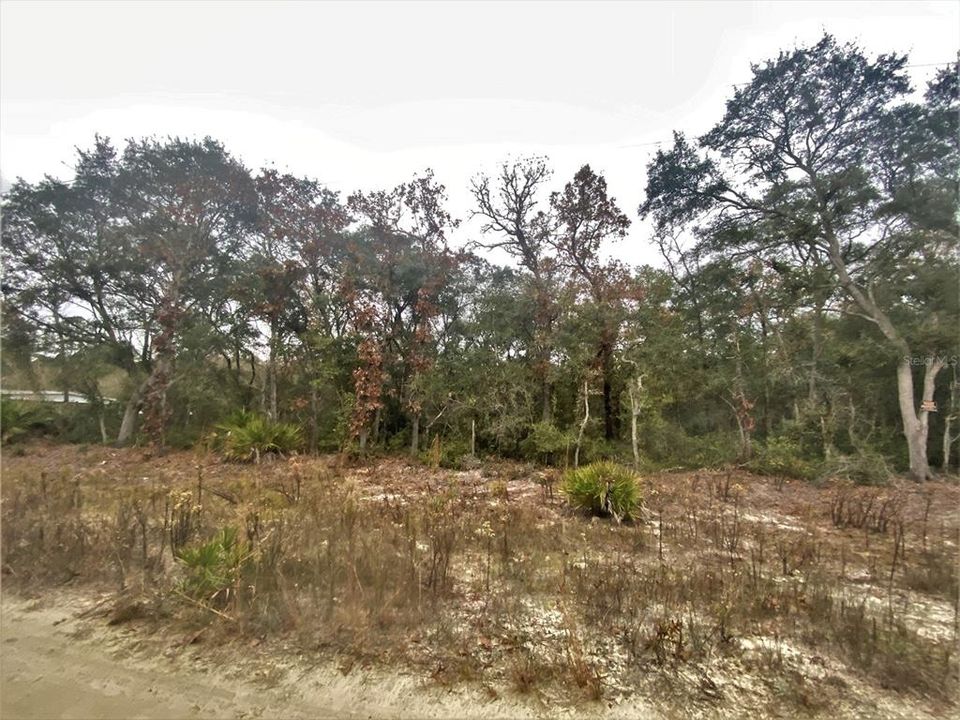Recently Sold: $4,750 (0.24 acres)