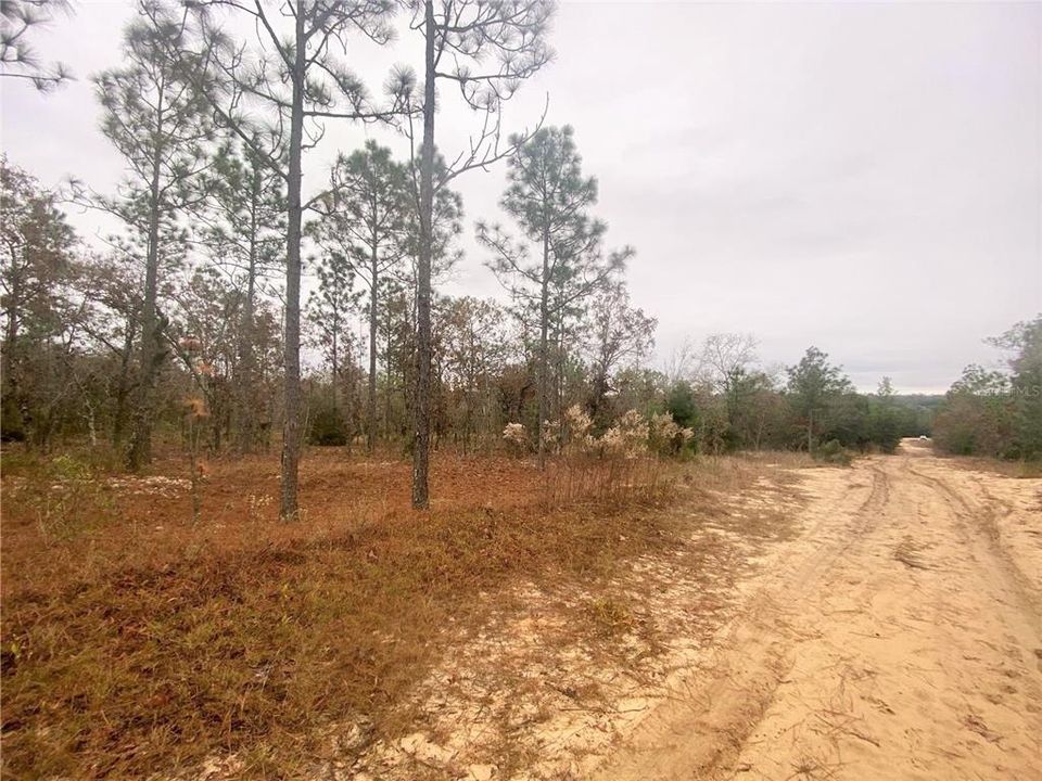 Recently Sold: $4,950 (0.69 acres)