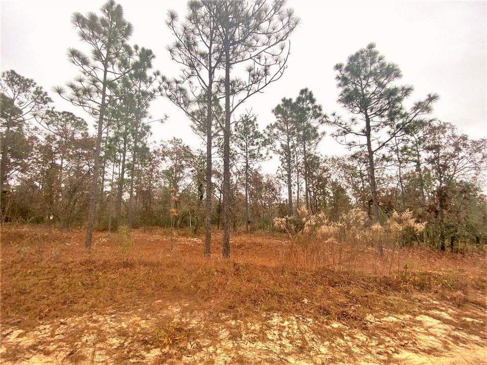 Recently Sold: $4,950 (0.69 acres)