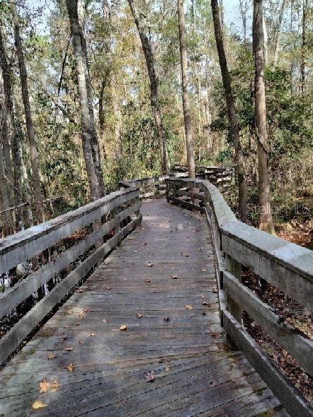 Stream leads to bridge