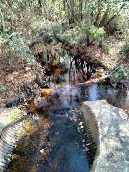 Stream Near the House