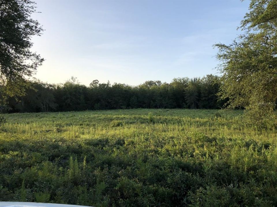 Beautiful almost 10 acre parcel!