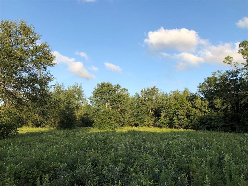 Recently Sold: $158,000 (9.96 acres)