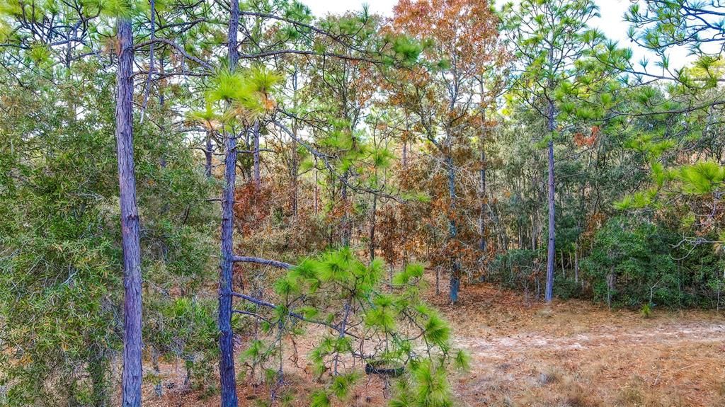 For Sale: $1,500,000 (48.30 acres)