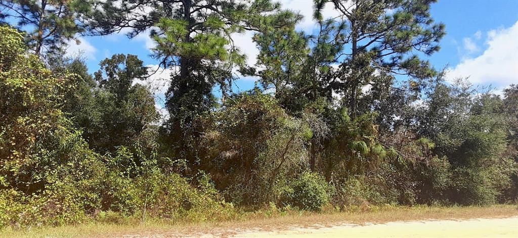 Recently Sold: $6,500 (0.44 acres)