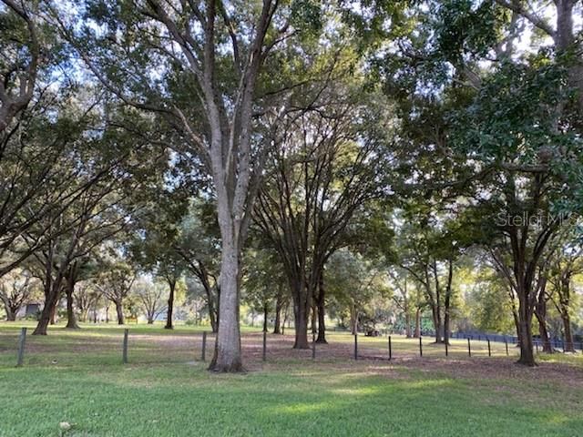 FRONT PASTURE