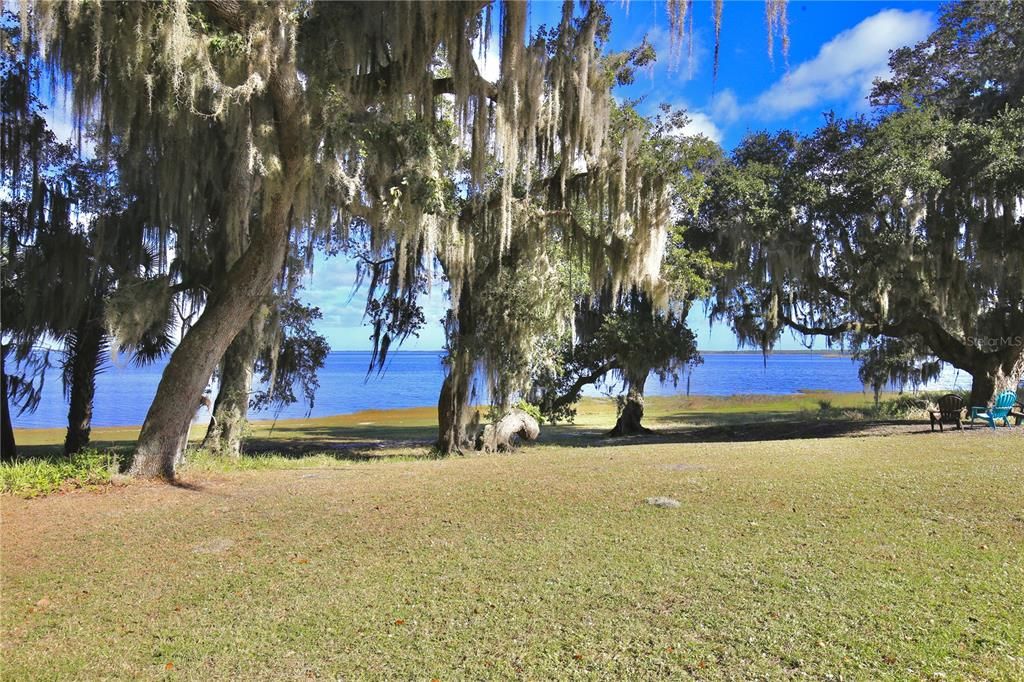 Views from the back yard of Lake Harney.