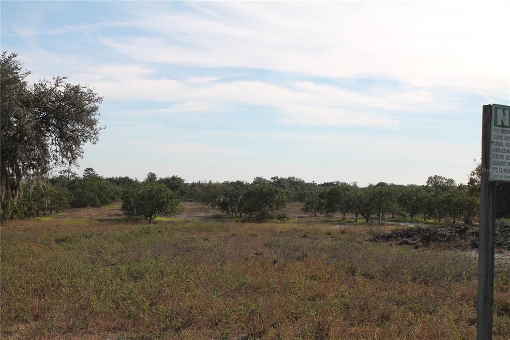 Recently Sold: $175,000 (5.01 acres)