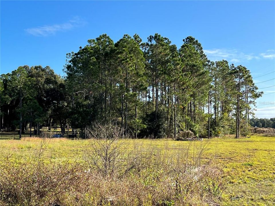 Recently Sold: $70,000 (1.49 acres)