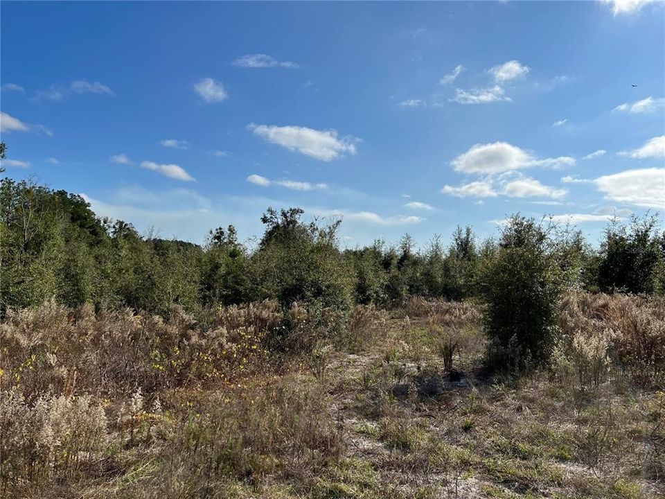 Недавно продано: $65,000 (6.08 acres)