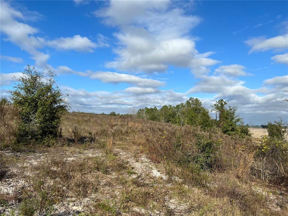 Recently Sold: $65,000 (6.08 acres)