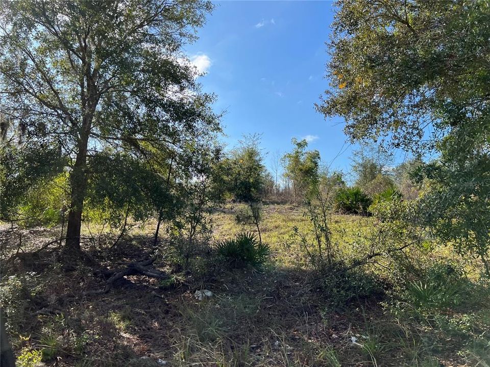 Recently Sold: $65,000 (6.08 acres)