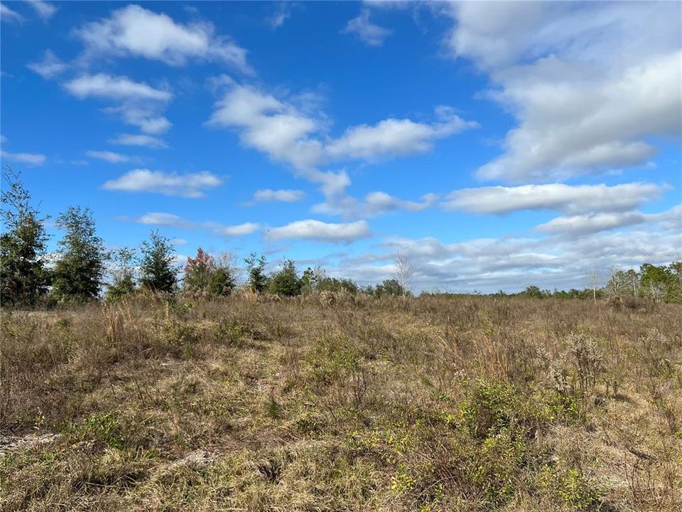 Недавно продано: $65,000 (6.08 acres)