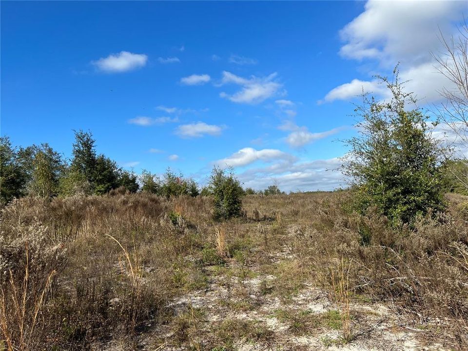 Recently Sold: $65,000 (6.08 acres)