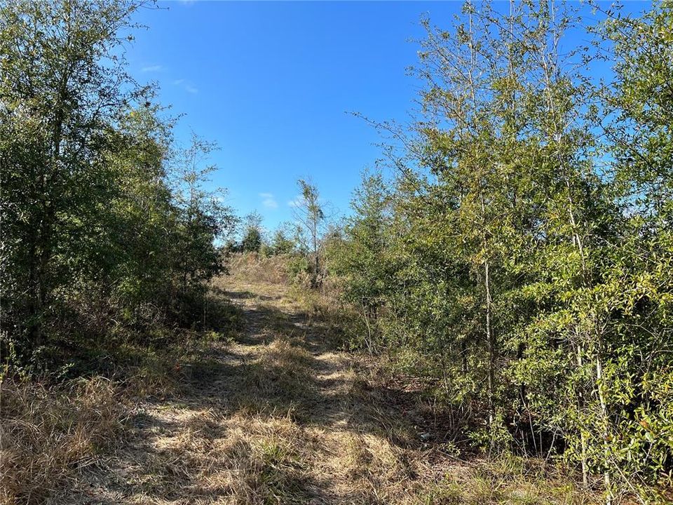 Recently Sold: $65,000 (6.08 acres)