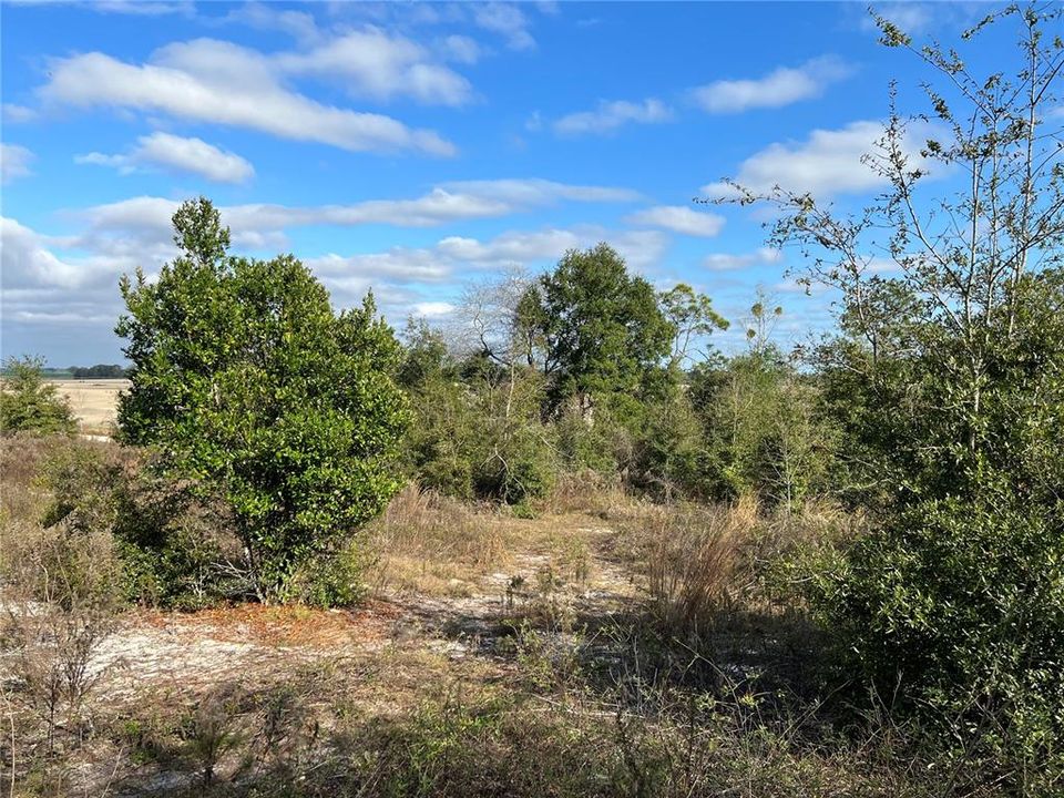 Vendido Recientemente: $65,000 (6.08 acres)