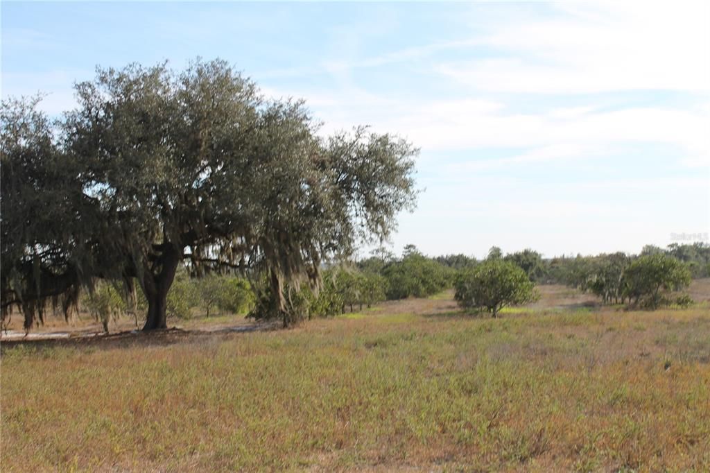 Recently Sold: $199,000 (6.20 acres)