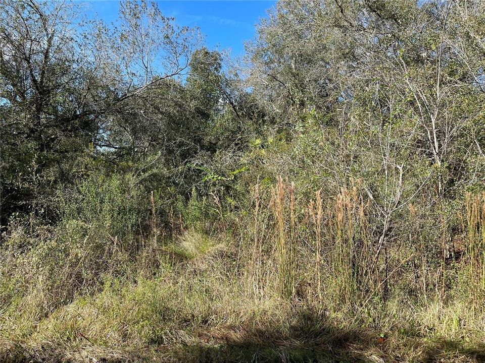 Recently Sold: $29,900 (1.42 acres)