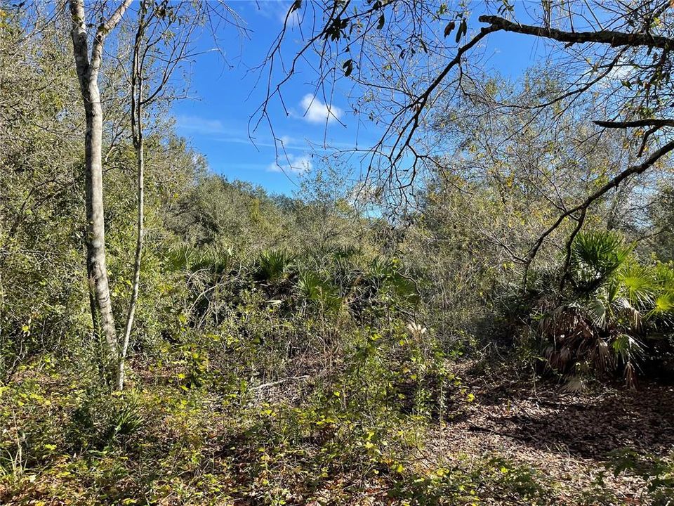 Vendido Recientemente: $29,900 (1.42 acres)