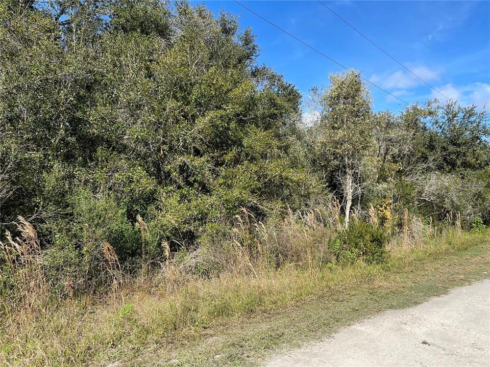 Recently Sold: $29,900 (1.42 acres)