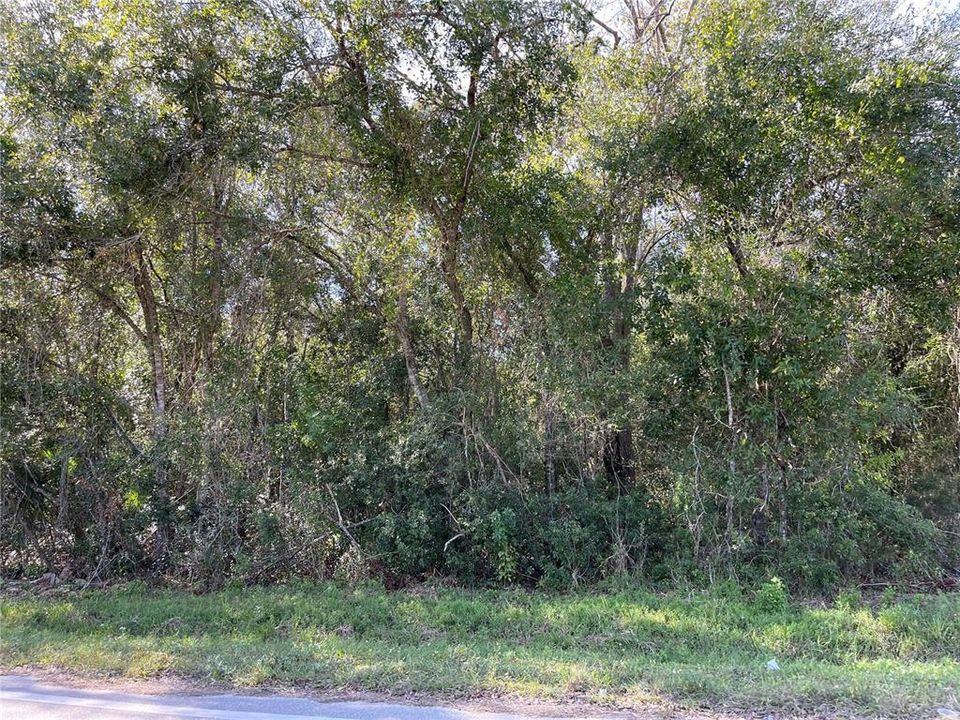 Recently Sold: $25,000 (0.34 acres)