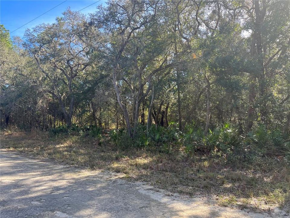 Recently Sold: $24,000 (1.16 acres)