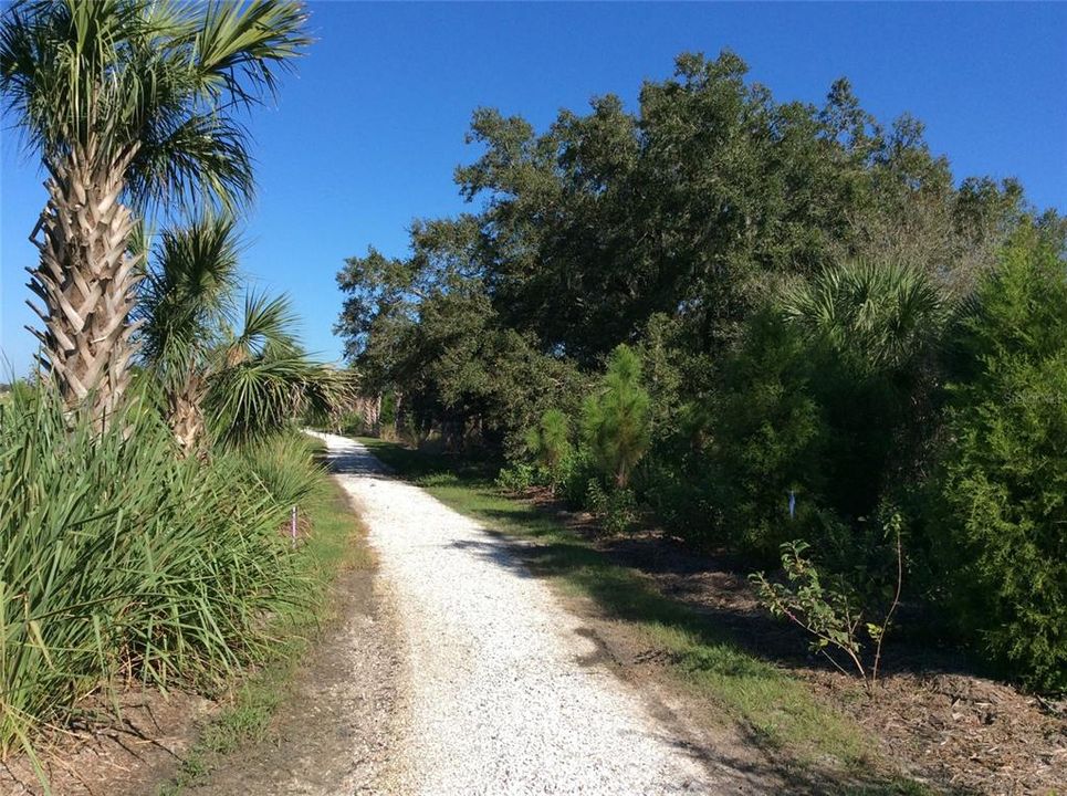 Community Nature Trail at Artistry Sarasota
